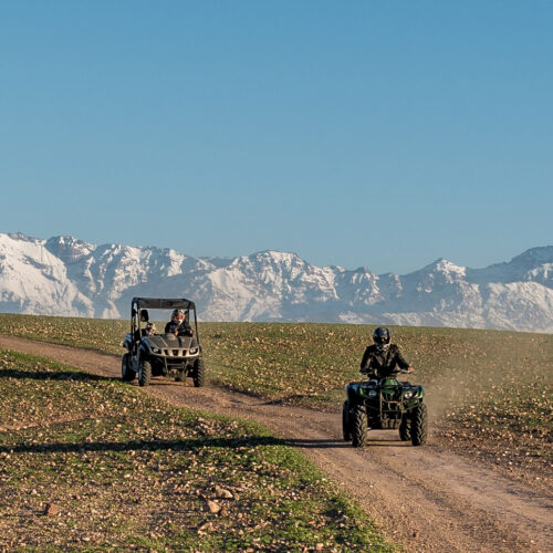 Quad